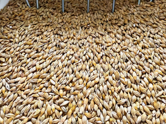 Raw Barley Project - Introduction